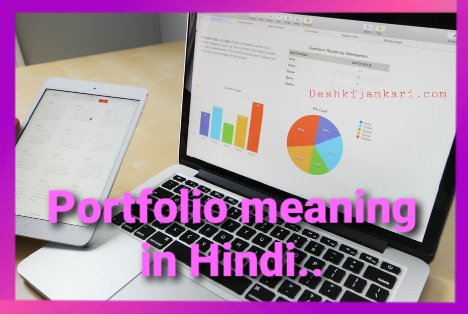 Portfolio meaning in Hindi